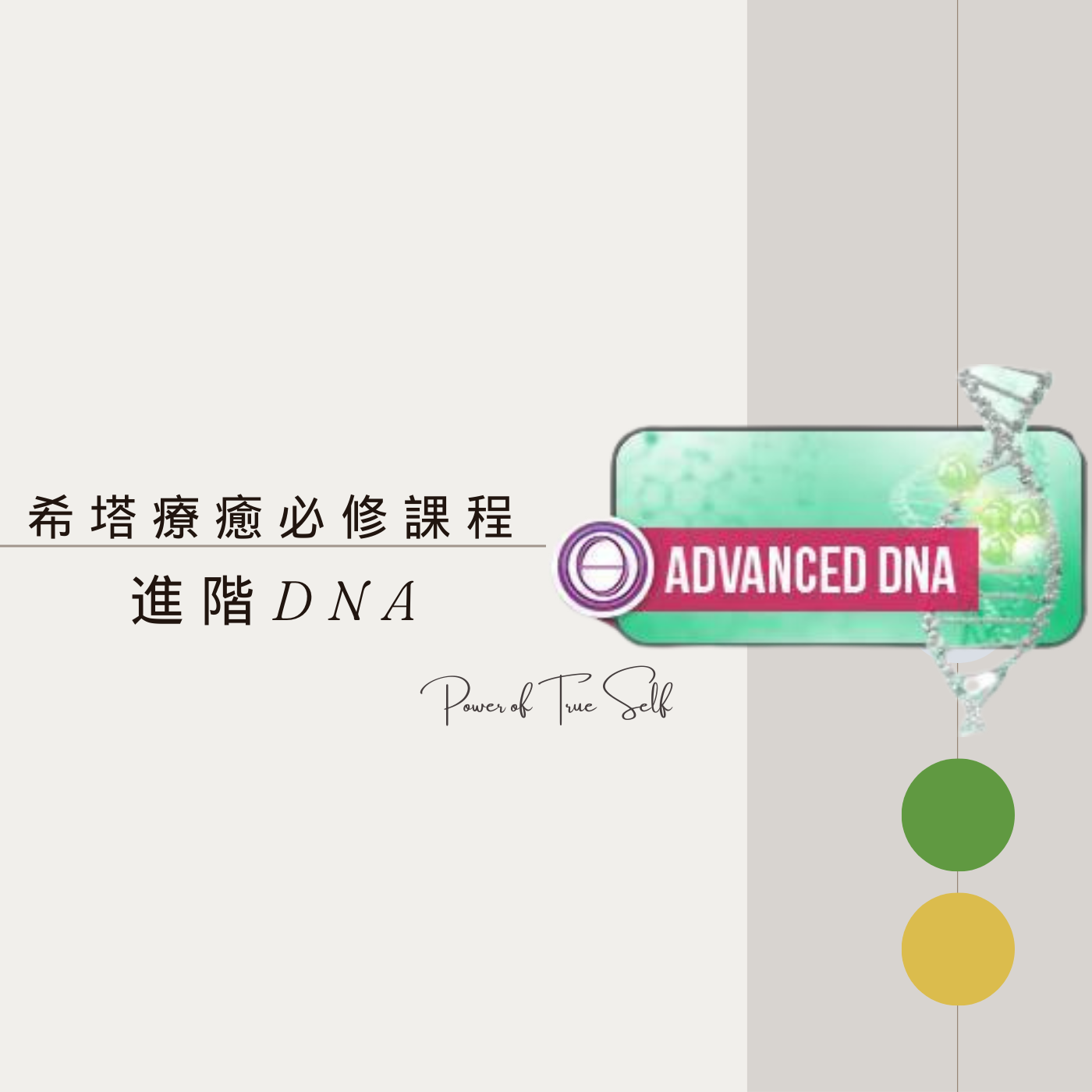 進階DNA