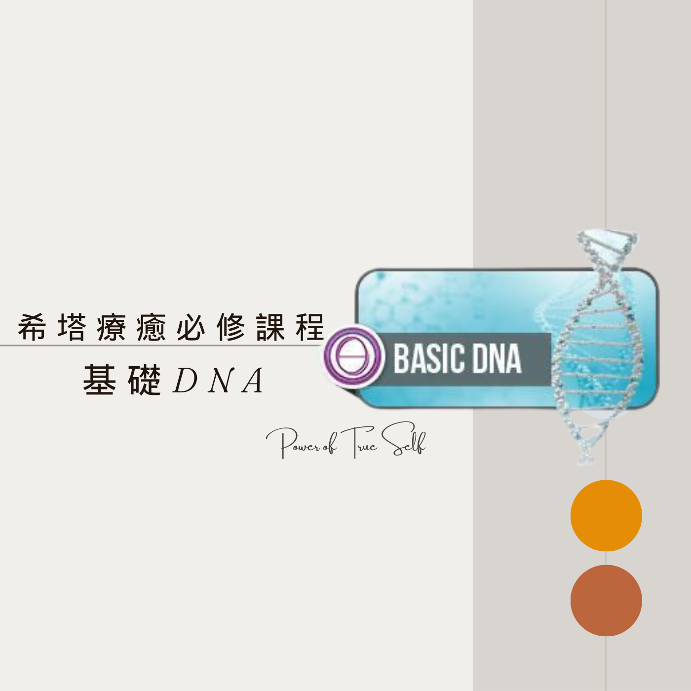 基礎DNA
