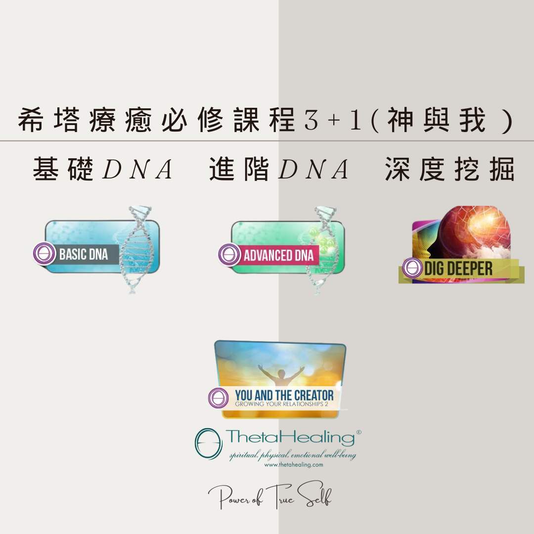 希塔必修３＋１（造物主與你）合報價格