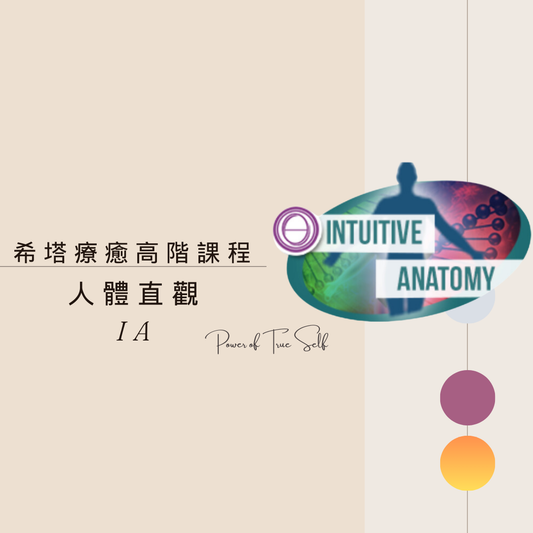 人體直觀IA