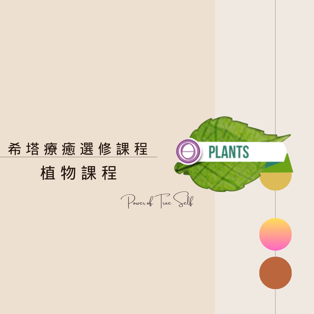 植物課程